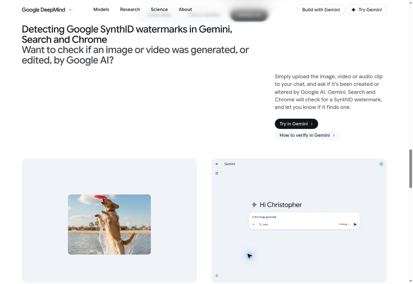 Guida ufficiale di Google DeepMind: esempio di caricamento di un’immagine e domanda di verifica in Gemini